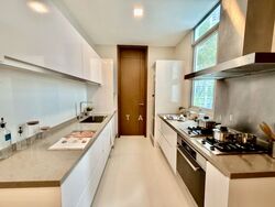 Emerald Hill Road (D9), Apartment #579042051